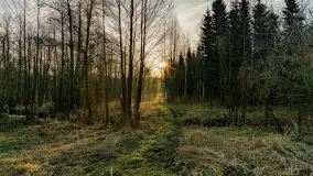 Wschód słońca nad jeziorem Dejguny, kwiecień 2023 r. - zdjęcie 5