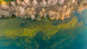 Wschód słońca nad jeziorem Dejguny, kwiecień 2023 r. - zdjęcie 37