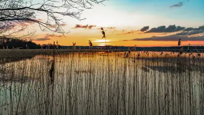 Zachód słońca nad jeziorem Dejguny, Lisi Ogon, kwiecień 2023 r.