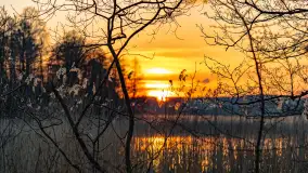 Zachód słońca nad jeziorem Dejguny, Lisi Ogon, kwiecień 2023 r. - zdjęcie 2