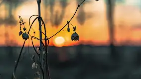 Zachód słońca nad jeziorem Dejguny, Lisi Ogon, kwiecień 2023 r. - zdjęcie 47