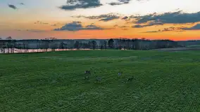 Zachód słońca nad jeziorem Dejguny, Lisi Ogon, kwiecień 2023 r. - zdjęcie 24