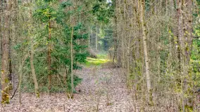 Wiosna i rozlewiska przy jeziorze Siercze niedaleko Gierłoży - zdjęcie 46