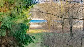 Wiosna i rozlewiska przy jeziorze Siercze niedaleko Gierłoży - zdjęcie 4