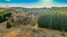 Wiosna i rozlewiska przy jeziorze Siercze niedaleko Gierłoży - zdjęcie 43