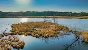 Wiosna i rozlewiska przy jeziorze Siercze niedaleko Gierłoży - zdjęcie 37
