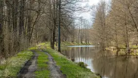 Kanał Mazurski, wiele ukrytych perełek - zdjęcie 17