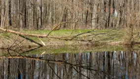 Kanał Mazurski, wiele ukrytych perełek - zdjęcie 25