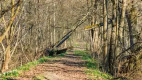 Kanał Mazurski, wiele ukrytych perełek - zdjęcie 100
