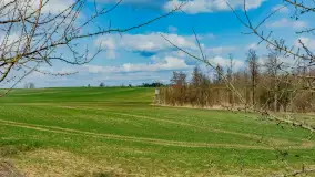 Wiosna już jest, taka prawdziwa, zielona i ciepła - zdjęcie 2