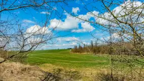 Wiosna już jest, taka prawdziwa, zielona i ciepła - zdjęcie 16