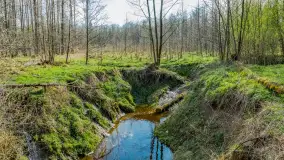 Wiosna już jest, taka prawdziwa, zielona i ciepła - zdjęcie 24