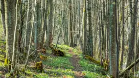 Wiosna już jest, taka prawdziwa, zielona i ciepła - zdjęcie 21