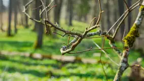 Wiosna już jest, taka prawdziwa, zielona i ciepła - zdjęcie 23