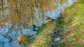 Wiosna już jest, taka prawdziwa, zielona i ciepła - zdjęcie 32