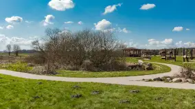 Plaża i ścieżka edukacyjna w Czernikach, jezioro Mój - zdjęcie 44