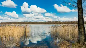 Plaża i ścieżka edukacyjna w Czernikach, jezioro Mój - zdjęcie 12