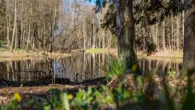 Foto spacer po lesie miejskim w Giżycku, kwiecień 2023 r. - zdjęcie 2