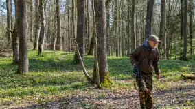 Foto spacer po lesie miejskim w Giżycku, kwiecień 2023 r. - zdjęcie 10