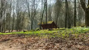 Foto spacer po lesie miejskim w Giżycku, kwiecień 2023 r. - zdjęcie 22