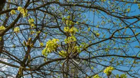 Port Zielona Zatoka, gotowy na sezon 2023 - zdjęcie 5