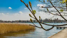 Port Zielona Zatoka, gotowy na sezon 2023 - zdjęcie 12