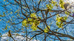 Port Zielona Zatoka, gotowy na sezon 2023 - zdjęcie 14