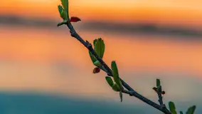 Zachód słońca nad jeziorem Dejgunek, kwiecień 2023 r.  - zdjęcie 39