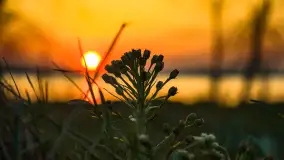 Zachód słońca w Pierkunowie, jezioro Kisajno, kwiecień 2023 r. - zdjęcie 5