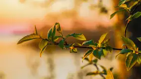 Zachód słońca w Pierkunowie, jezioro Kisajno, kwiecień 2023 r. - zdjęcie 11