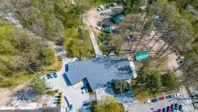 Przy Wilczym Szańcu posadzono 5000 dębów - zdjęcie 58