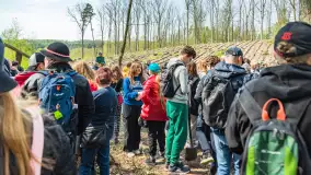 Przy Wilczym Szańcu posadzono 5000 dębów - zdjęcie 46