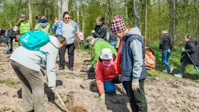 Przy Wilczym Szańcu posadzono 5000 dębów - zdjęcie 56