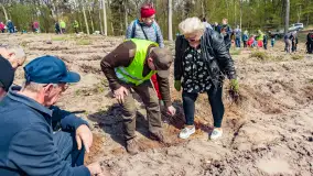 Przy Wilczym Szańcu posadzono 5000 dębów - zdjęcie 29