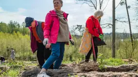 Przy Wilczym Szańcu posadzono 5000 dębów - zdjęcie 4