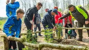 Przy Wilczym Szańcu posadzono 5000 dębów - zdjęcie 78