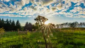 Wiosenny zachód słońca nad Darginem - zdjęcie 23