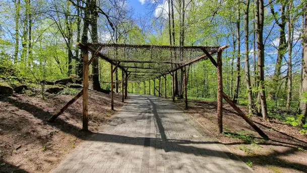 Majowy spacer po Wilczym Szańcu w Gierłoży - zdjęcie 9