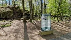 Majowy spacer po Wilczym Szańcu w Gierłoży - zdjęcie 26