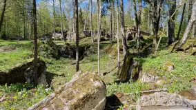 Majowy spacer po Wilczym Szańcu w Gierłoży - zdjęcie 7