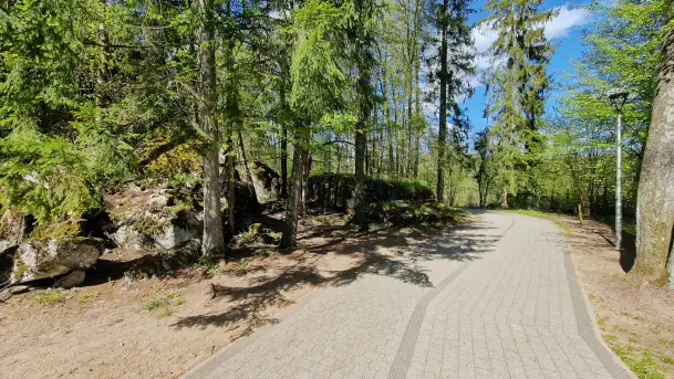 Majowy spacer po Wilczym Szańcu w Gierłoży - zdjęcie 5