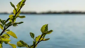 Port Piękny Brzeg nad jeziorem Święcajty, maj 2023 - zdjęcie 22