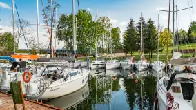 Port Netta, Piękna Góra, maj 2023 r. - zdjęcie 36