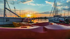 Zachód Słońca w Tle Dla Mew, jezioro Boczne, maj 2023 r. - zdjęcie 6