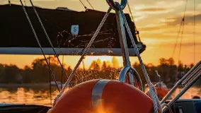 Zachód Słońca w Tle Dla Mew, jezioro Boczne, maj 2023 r. - zdjęcie 21