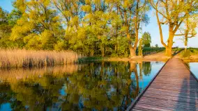 Zachód słońca nad jeziorem Tajty, okolice Wronki - zdjęcie 11