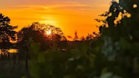 Zachód słońca nad jeziorem Tajty, okolice Wronki - zdjęcie 20