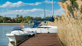 Keja Makarina nad jeziorem Wojnowo, maj 2023 r. - zdjęcie 10