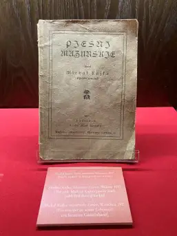 Urokliwe miejsce w sercu Mazur. Muzeum Michała Kajki w Ogródku - zdjęcie 19