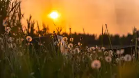 Majowy zachód słońca nad jeziorem Siercze, 2023 - zdjęcie 3